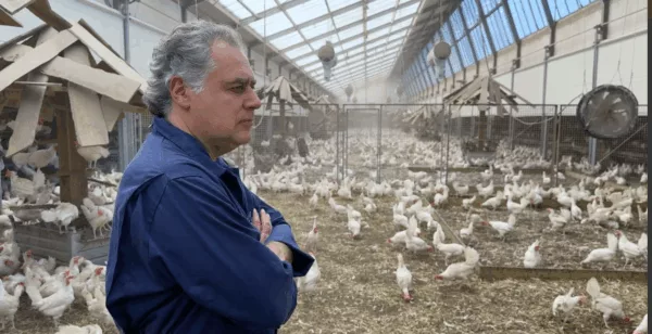 Documentaire: de Vegan Veehouder Documentaire: de Vegan Veehouder